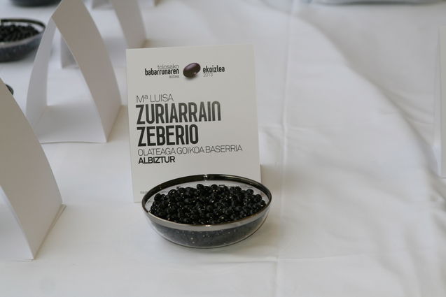 Argazkia